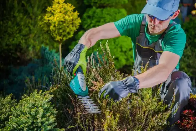 landscaping services Armada